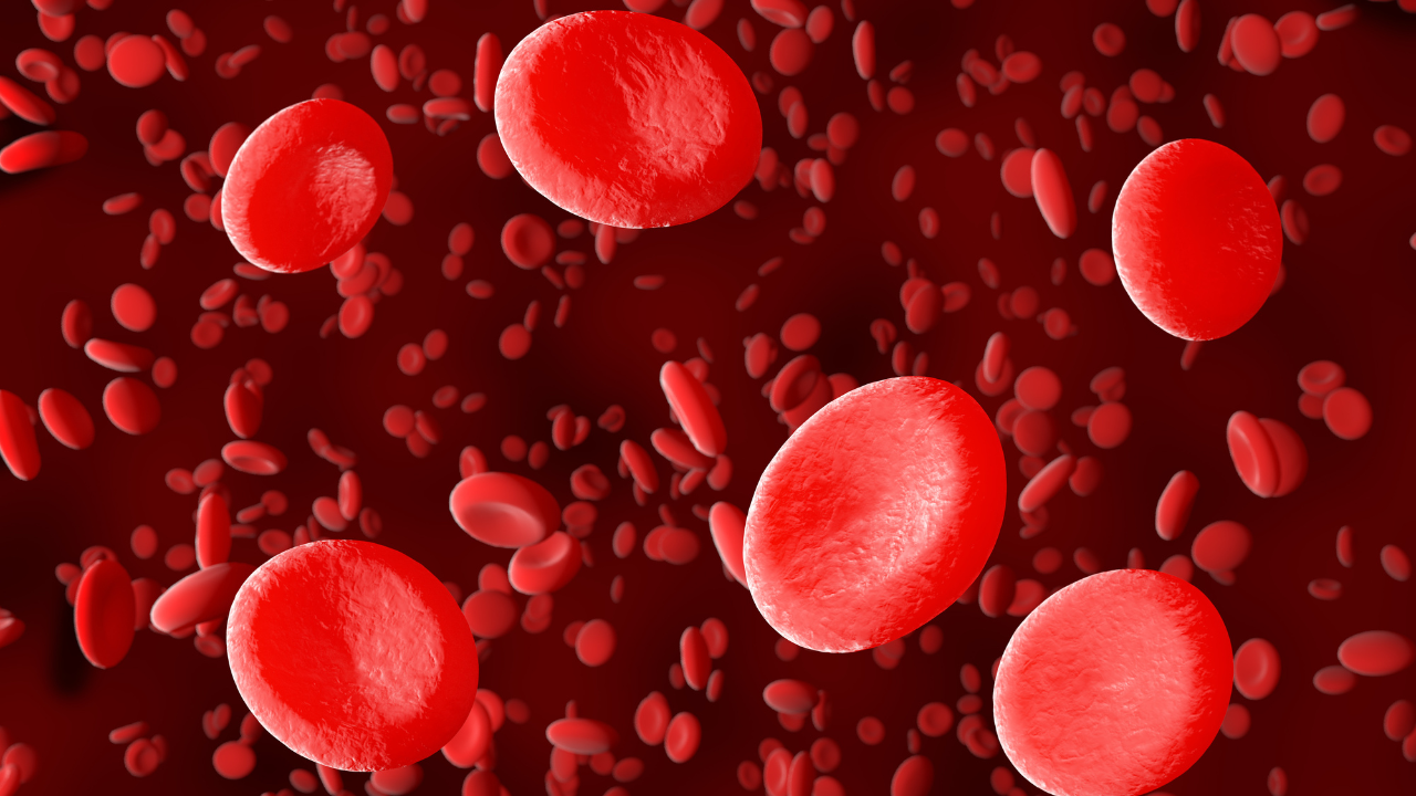 Phát hiện mới về nhóm máu và nguy cơ bệnh tật
